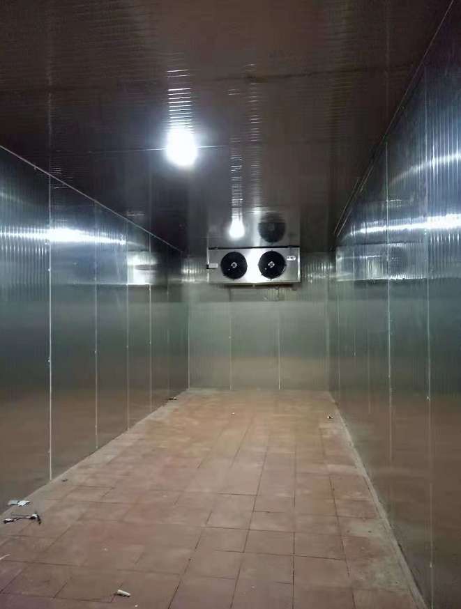 304不銹鋼冷凍庫